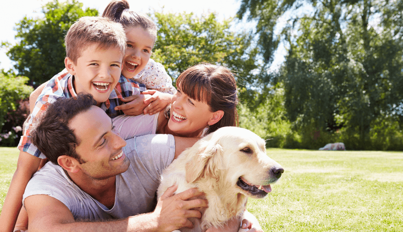 Pet lovers