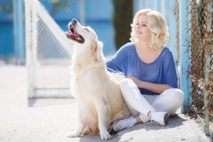 White Golden Retriever