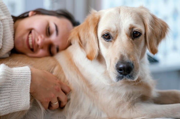 Pigmentary Uveitis golden retriever merks