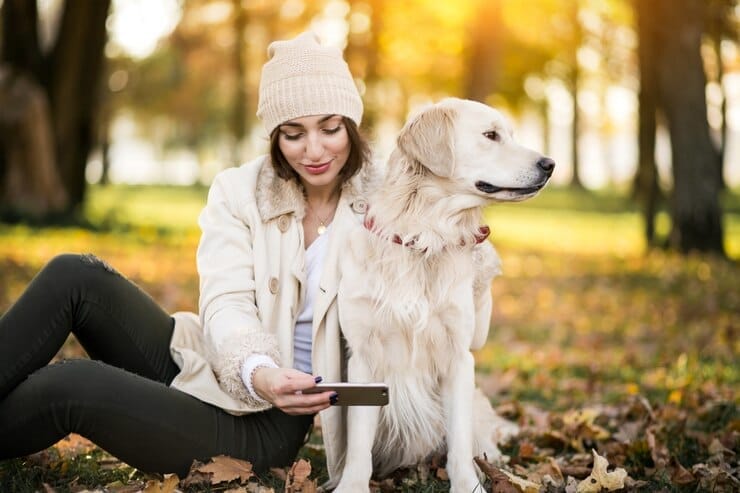 golden retriever rescue