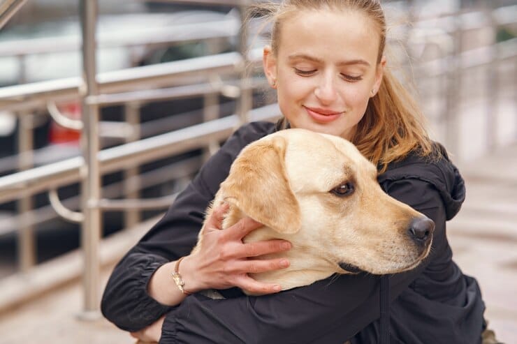 golden retriever rescue