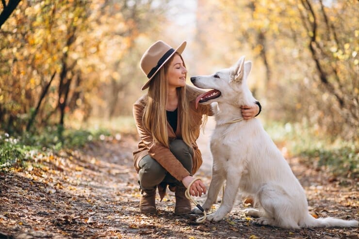White Golden Retriever