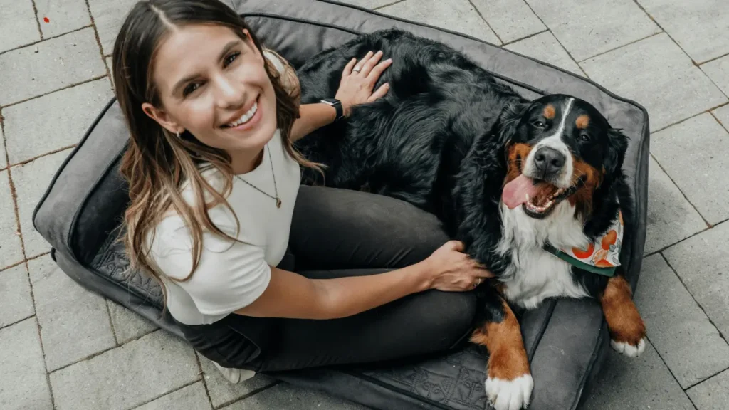 Bernese Mountain Dog Lifespan