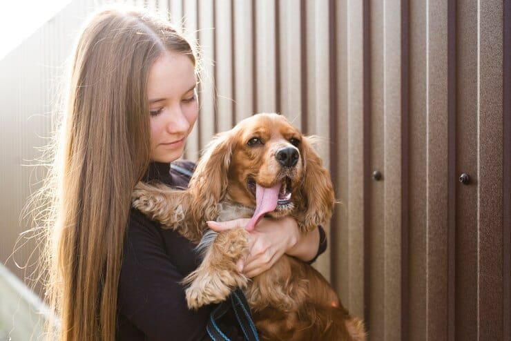 Golden Retriever Adoption