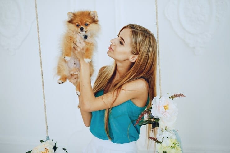 Female Golden Retriever
