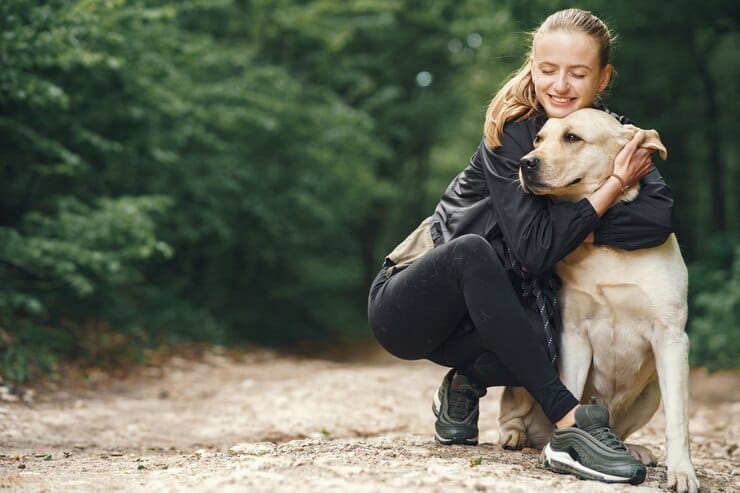 Golden Retriever Adoption