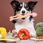 Best Bedding Materials for Bernese Mountain Dogs