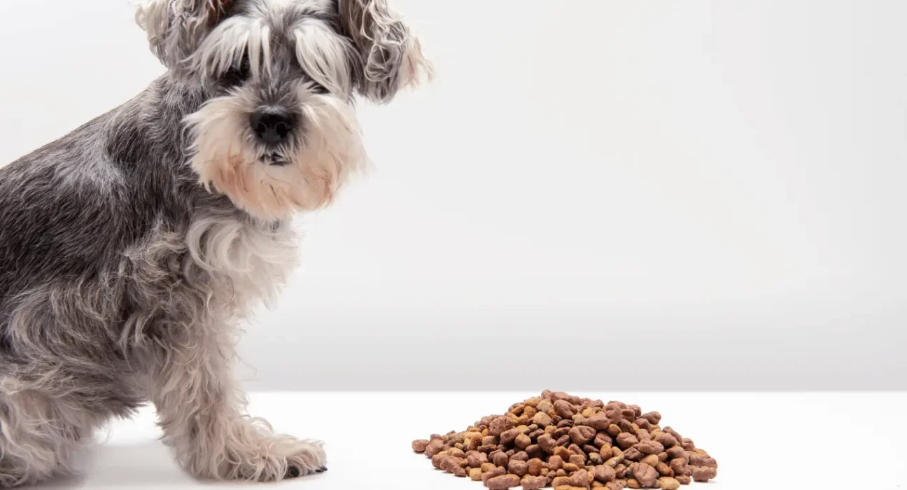 Can dogs eat garlic