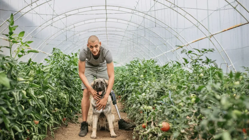 Farmers dog