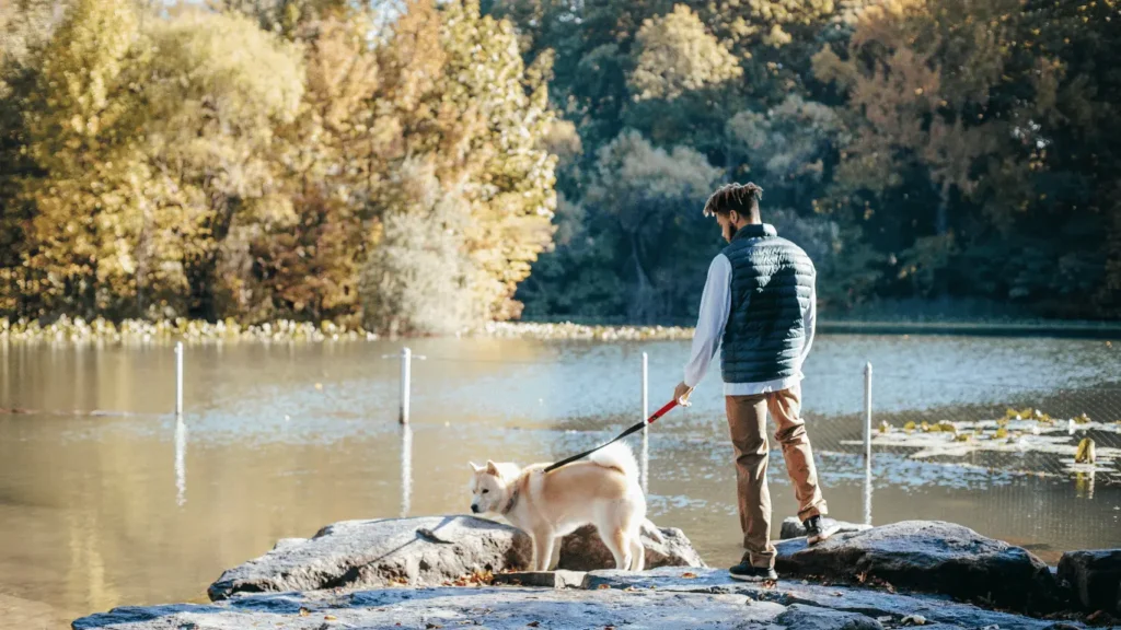 Dog park near me